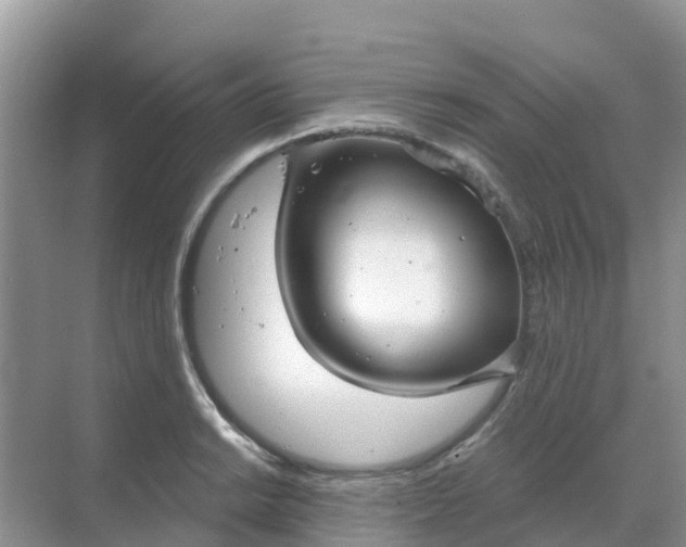 X0000069361038200605261953