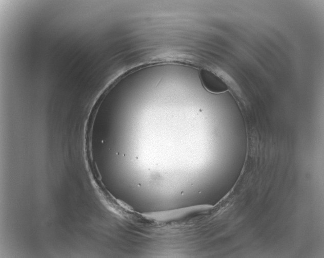 X0000069361039200605261953