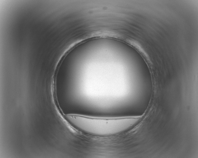 X0000069361040200605261953