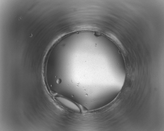 X0000069361043200605261953