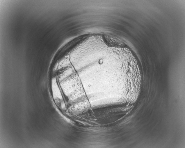 X0000069361045200605261953