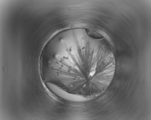 X0000069361047200605261953