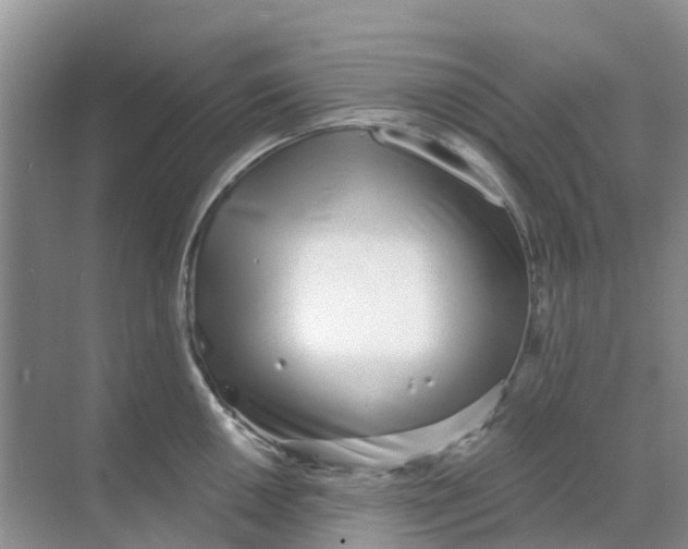 X0000069361050200605261953