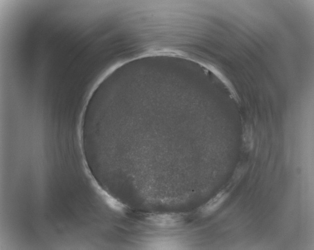 X0000069361054200605261954