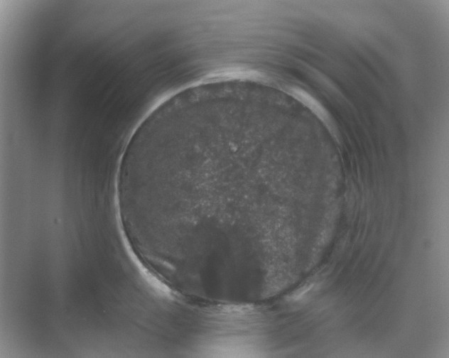 X0000069361055200605261954