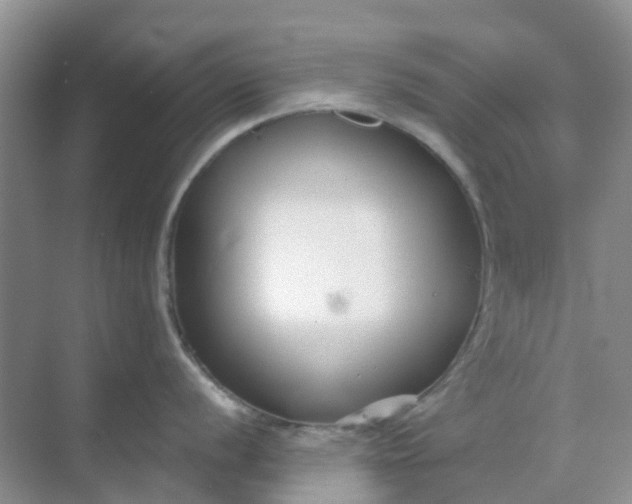 X0000069361056200605261954