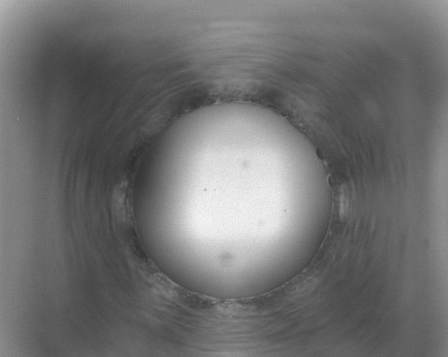 X0000069361059200605261953