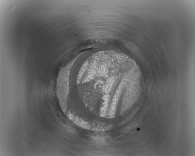 X0000069361060200605261953