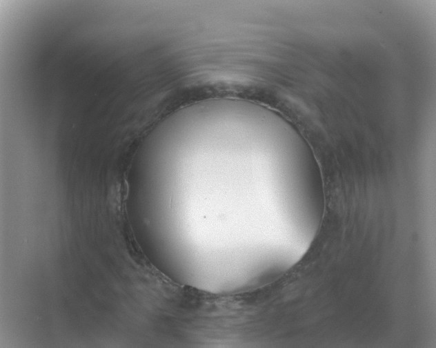 X0000069361061200605261953