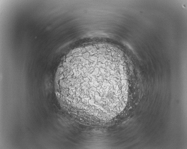 X0000069361063200605261953