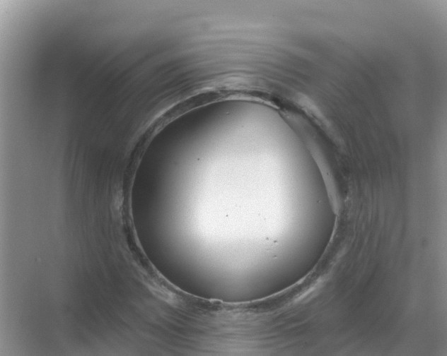 X0000069361065200605261953