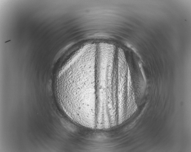 X0000069361066200605261953