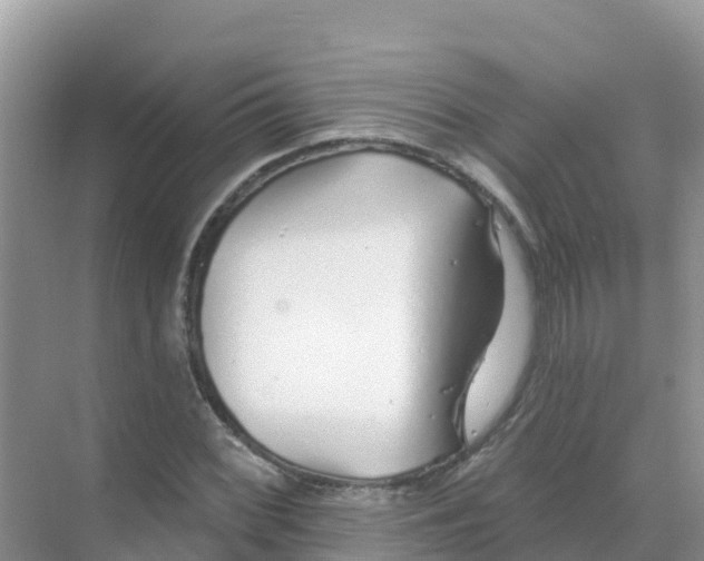 X0000069361068200605261953