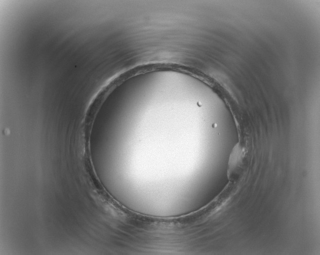 X0000069361069200605261953