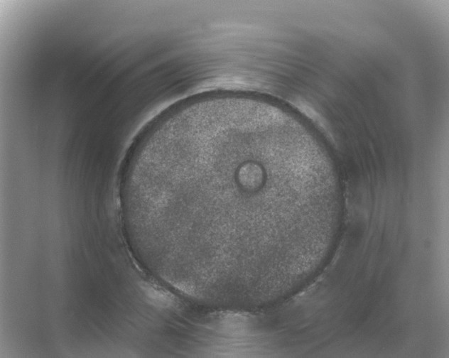 X0000069361070200605261953