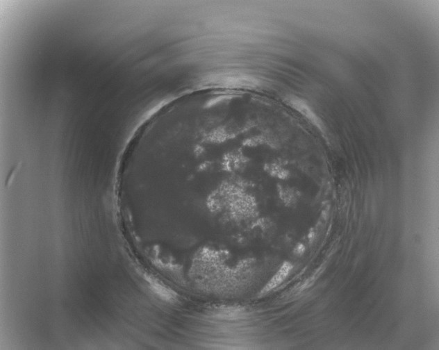 X0000069361071200605261953