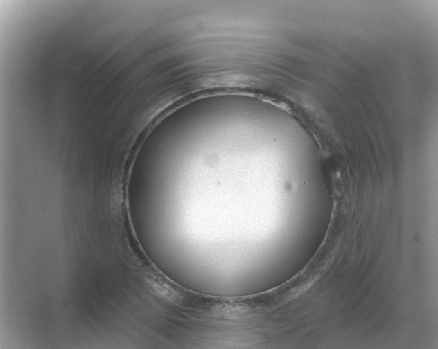 X0000069361073200605261953