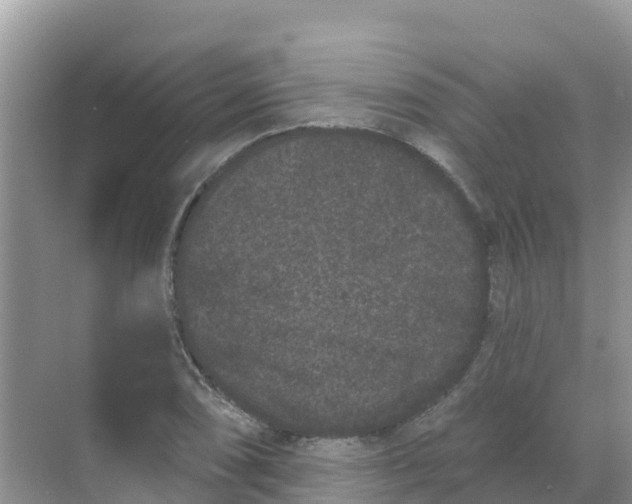 X0000069361074200605261953