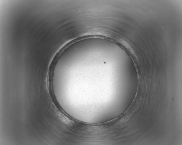 X0000069361076200605261952