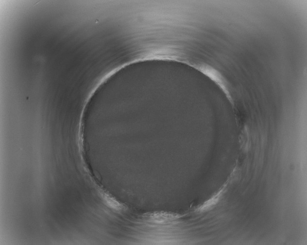 X0000069361077200605261952