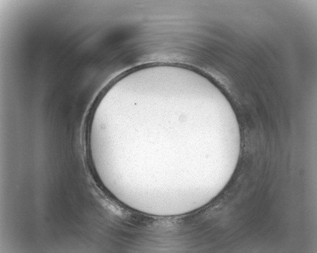 X0000069361078200605261952