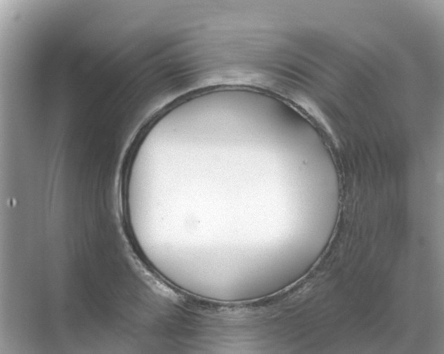 X0000069361080200605261952