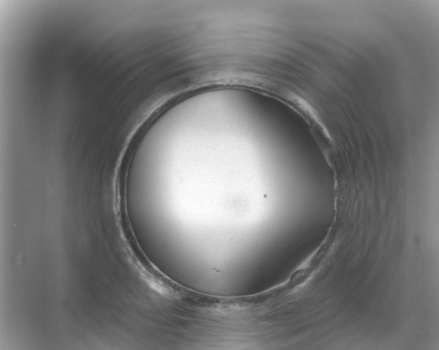 X0000069361082200605261952