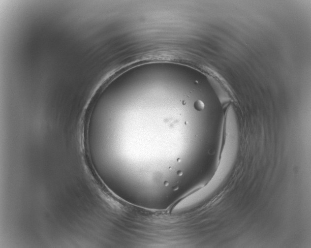 X0000069361083200605261952