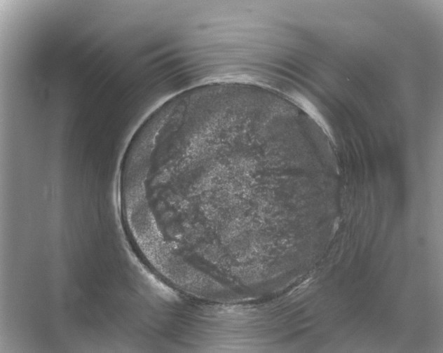 X0000069361084200605261952