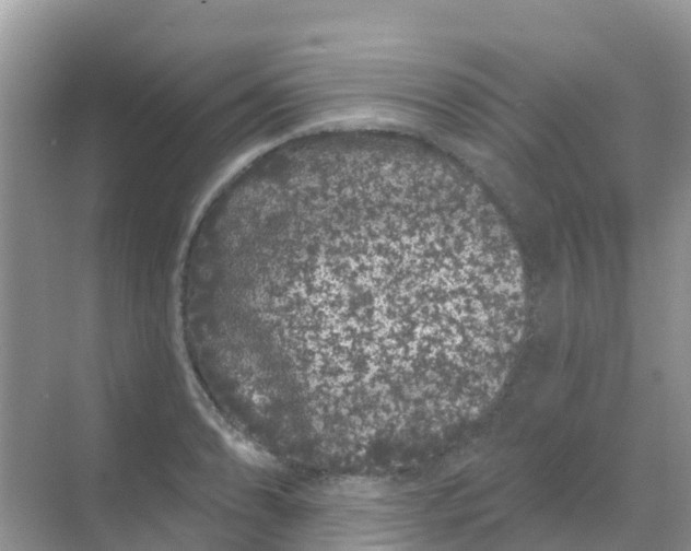 X0000069361086200605261952