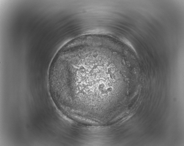 X0000069361087200605261952