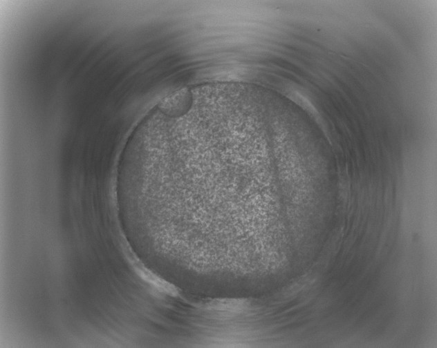 X0000069361090200605261952