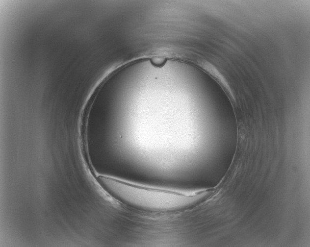 X0000069361091200605261952