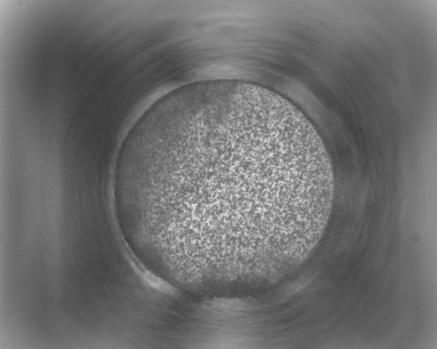 X0000069361094200605261952