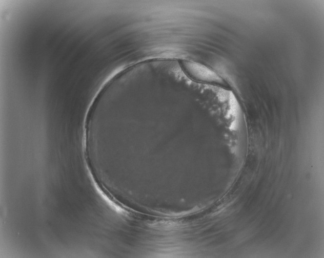 X0000069361095200605261952