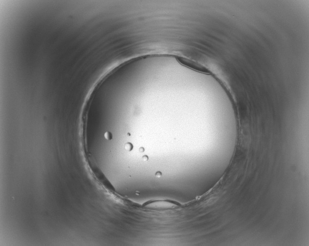 X0000069361096200605261952