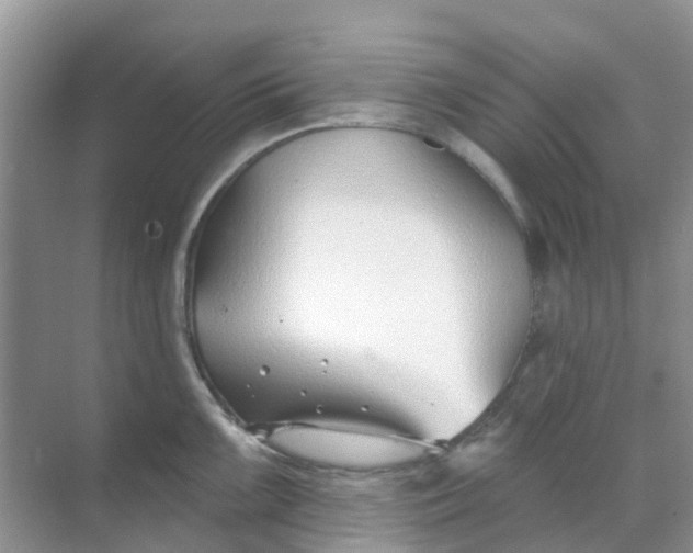 X0000069361099200605261952