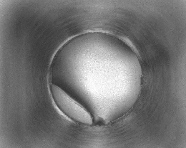 X0000069361100200605261952