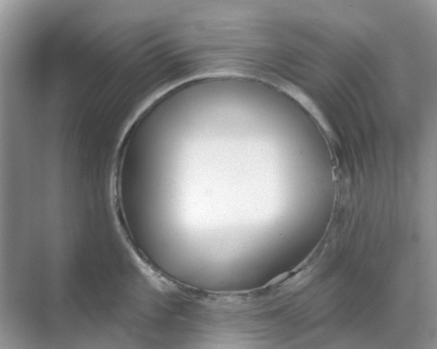 X0000069361101200605261952