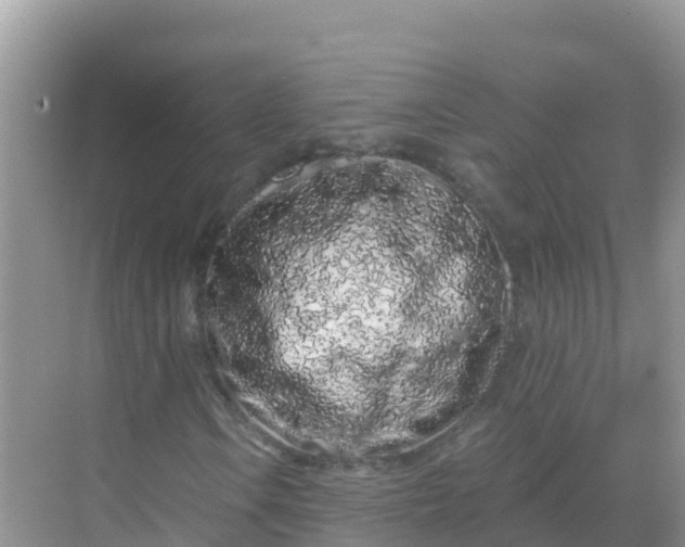 X0000069361106200605261951