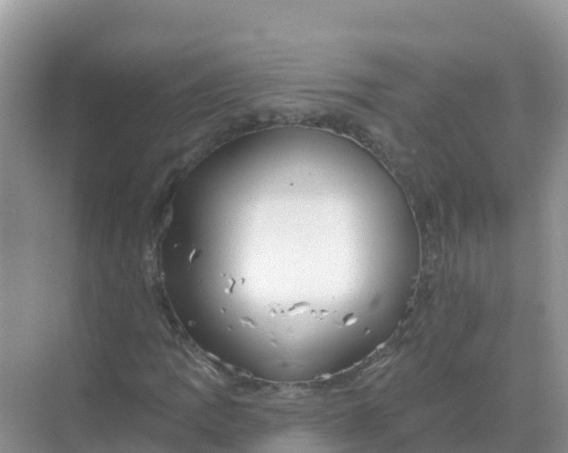 X0000069361109200605261951