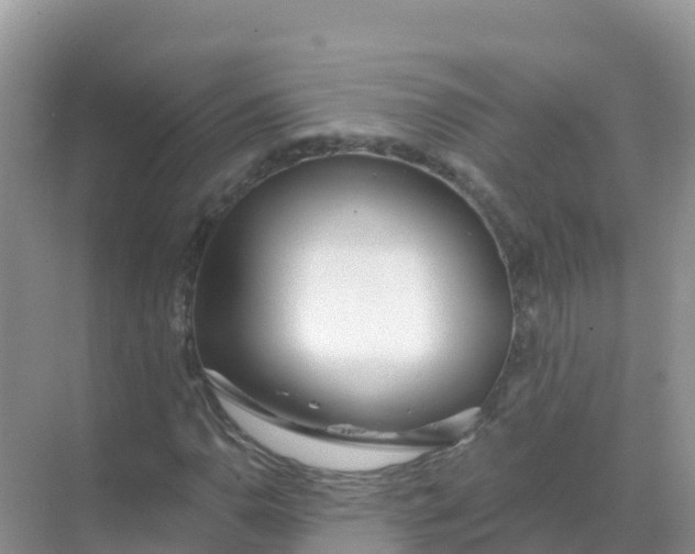 X0000069361110200605261951