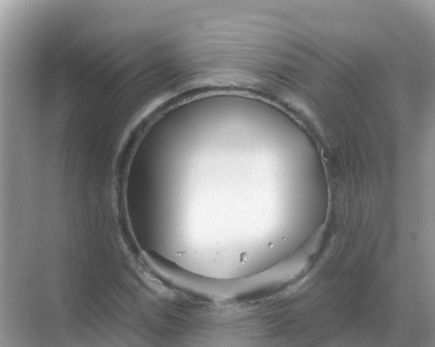 X0000069361114200605261951