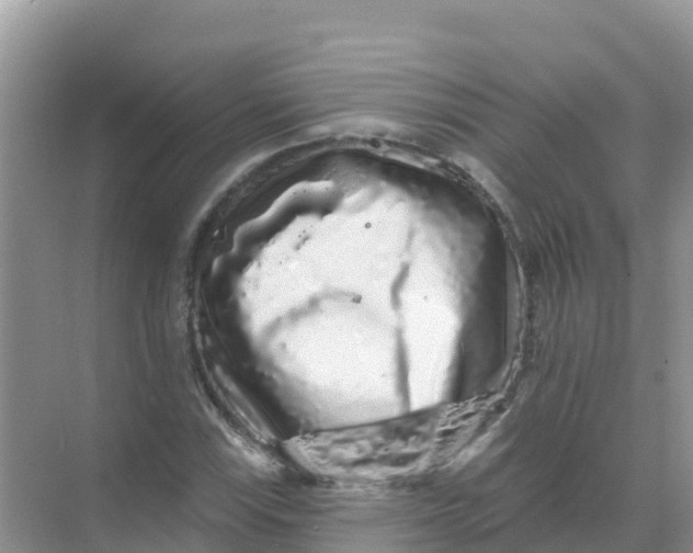 X0000069361115200605261951