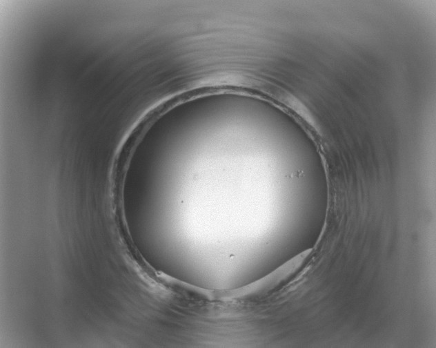 X0000069361116200605261951