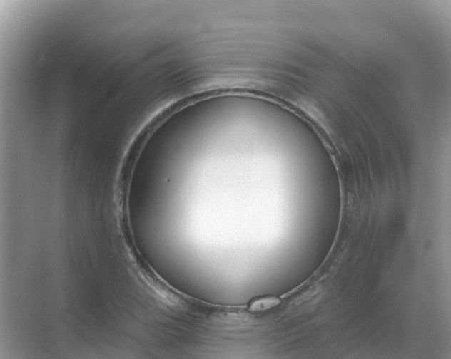 X0000069361119200605261951