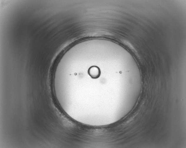 X0000069361122200605261951