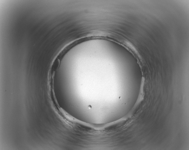 X0000069361124200605261952