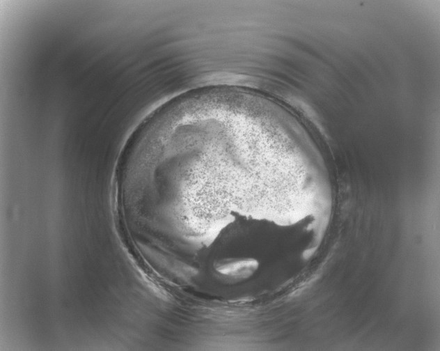 X0000069361125200605261952