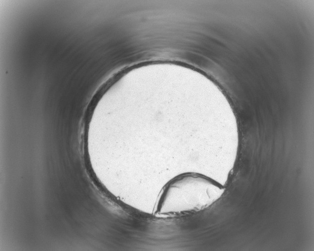 X0000069361126200605261952